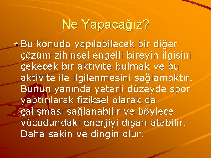 Ne Yapacağız? Bu konuda yapılabilecek bir diğer çözüm zihinsel engelli bireyin ilgisini çekecek bir