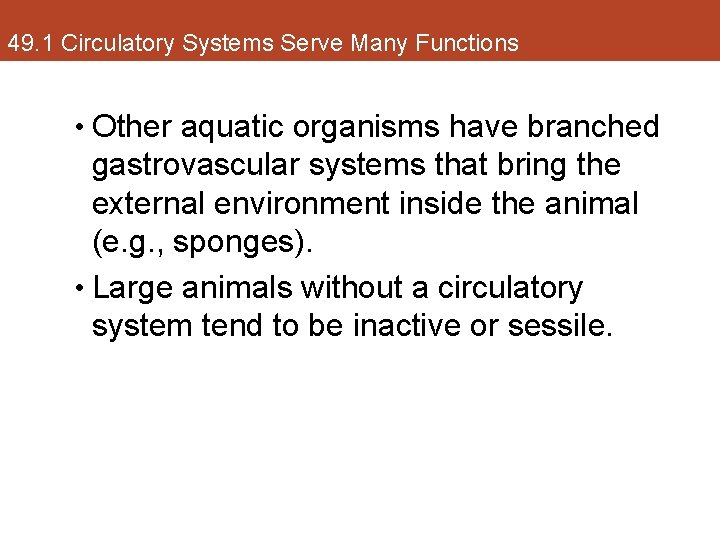 49. 1 Circulatory Systems Serve Many Functions • Other aquatic organisms have branched gastrovascular