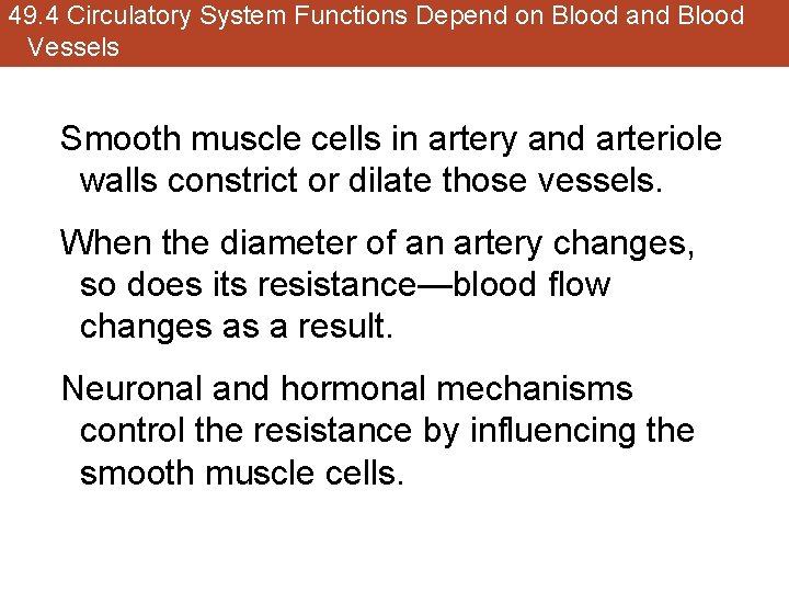49. 4 Circulatory System Functions Depend on Blood and Blood Vessels Smooth muscle cells