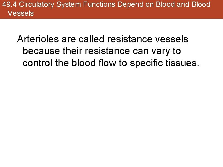 49. 4 Circulatory System Functions Depend on Blood and Blood Vessels Arterioles are called