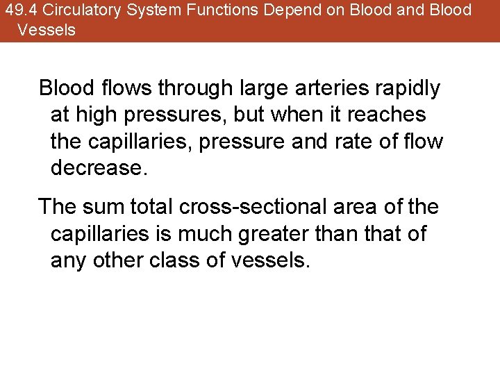 49. 4 Circulatory System Functions Depend on Blood and Blood Vessels Blood flows through