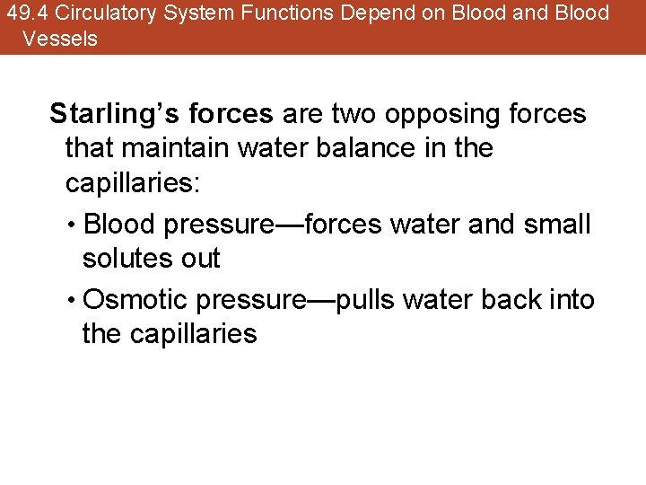 49. 4 Circulatory System Functions Depend on Blood and Blood Vessels Starling’s forces are
