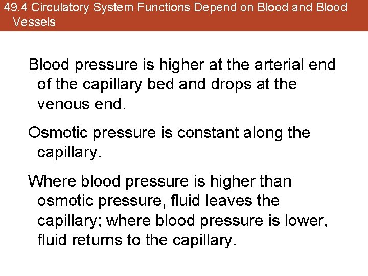49. 4 Circulatory System Functions Depend on Blood and Blood Vessels Blood pressure is