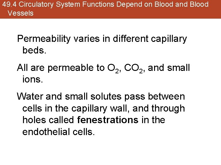 49. 4 Circulatory System Functions Depend on Blood and Blood Vessels Permeability varies in