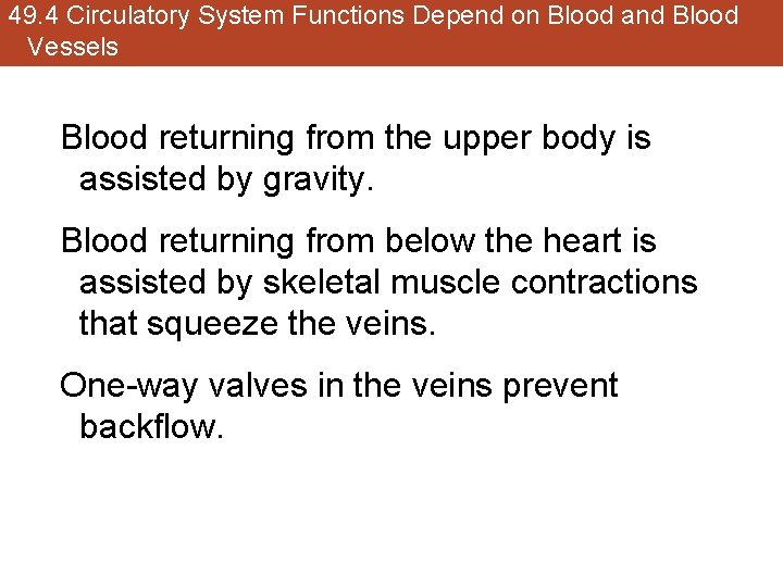 49. 4 Circulatory System Functions Depend on Blood and Blood Vessels Blood returning from