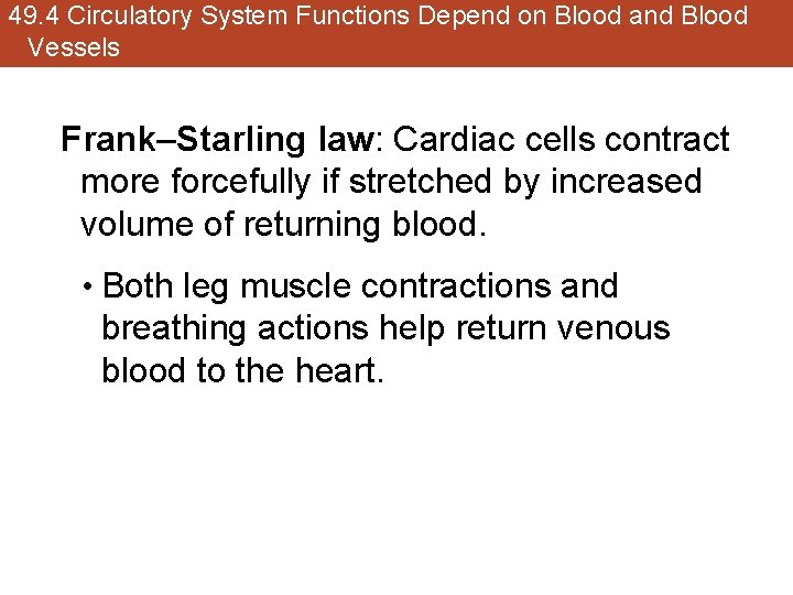 49. 4 Circulatory System Functions Depend on Blood and Blood Vessels Frank–Starling law: Cardiac
