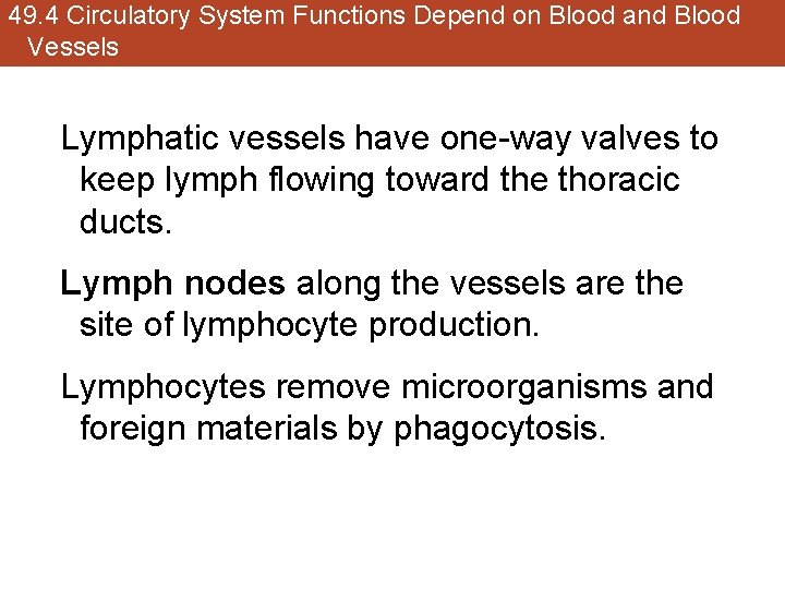 49. 4 Circulatory System Functions Depend on Blood and Blood Vessels Lymphatic vessels have