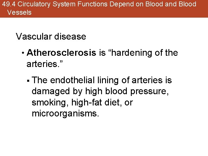 49. 4 Circulatory System Functions Depend on Blood and Blood Vessels Vascular disease •