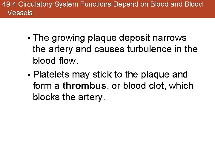 49. 4 Circulatory System Functions Depend on Blood and Blood Vessels The growing plaque