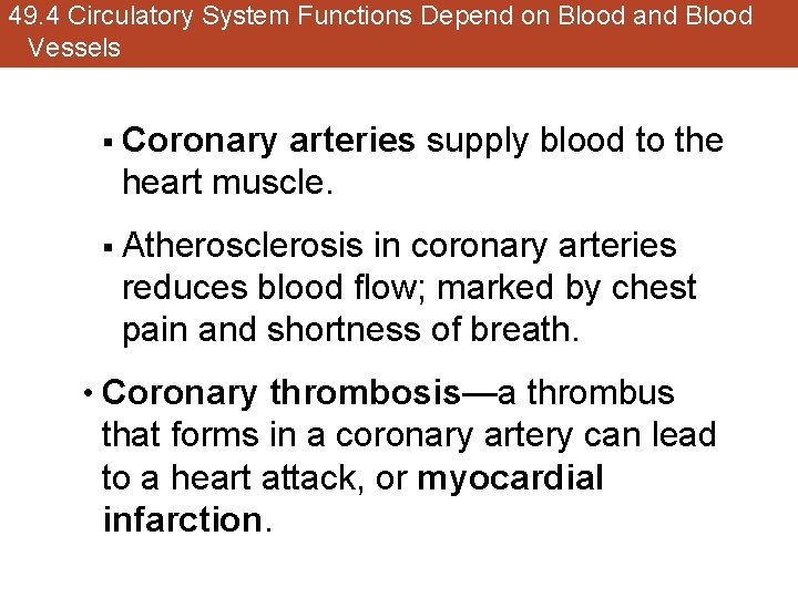 49. 4 Circulatory System Functions Depend on Blood and Blood Vessels § Coronary arteries
