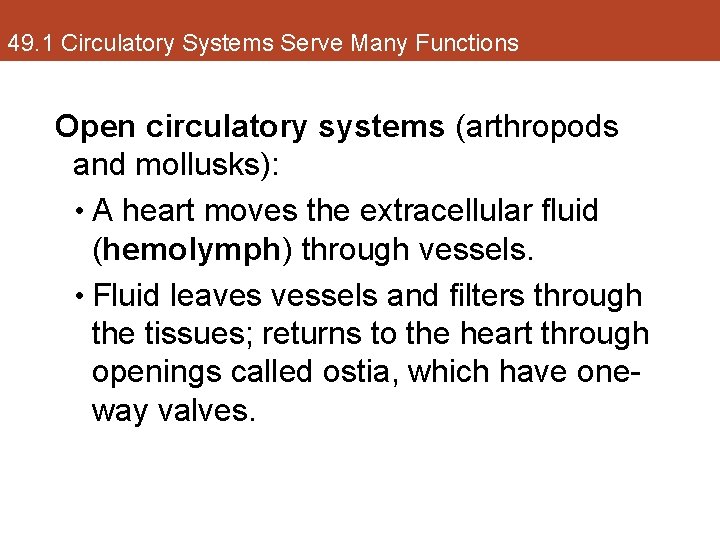 49. 1 Circulatory Systems Serve Many Functions Open circulatory systems (arthropods and mollusks): •
