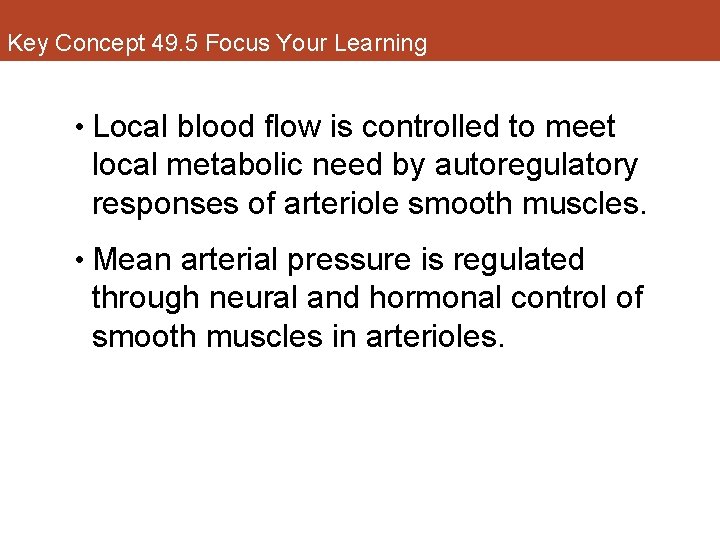 Key Concept 49. 5 Focus Your Learning • Local blood flow is controlled to