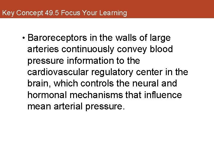 Key Concept 49. 5 Focus Your Learning • Baroreceptors in the walls of large