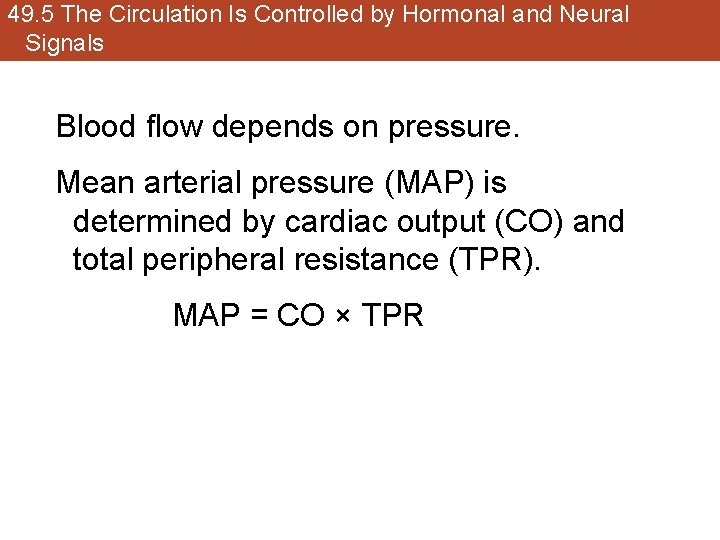 49. 5 The Circulation Is Controlled by Hormonal and Neural Signals Blood flow depends