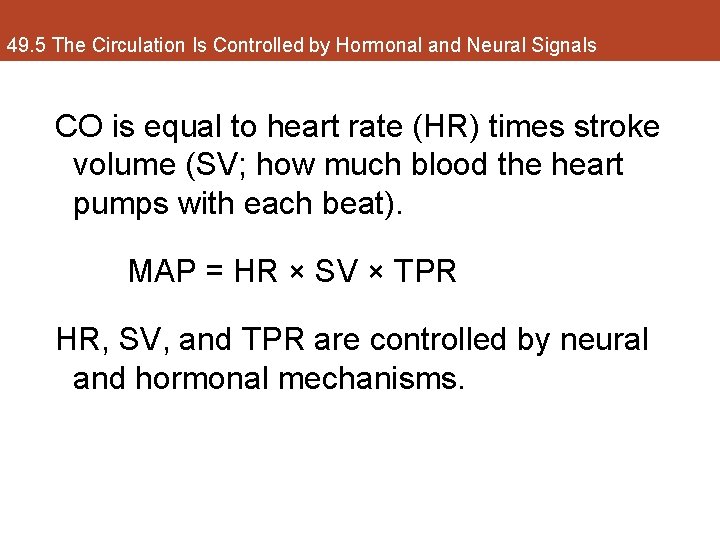 49. 5 The Circulation Is Controlled by Hormonal and Neural Signals CO is equal
