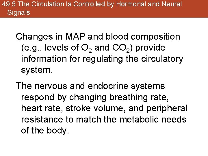 49. 5 The Circulation Is Controlled by Hormonal and Neural Signals Changes in MAP