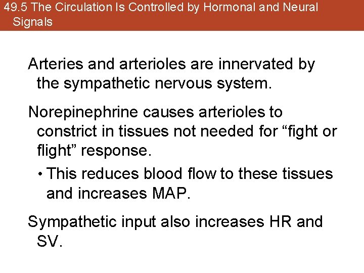 49. 5 The Circulation Is Controlled by Hormonal and Neural Signals Arteries and arterioles