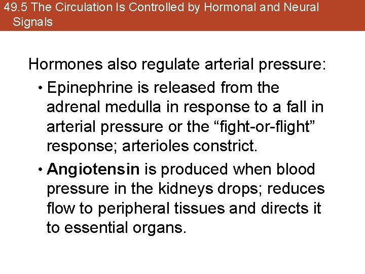 49. 5 The Circulation Is Controlled by Hormonal and Neural Signals Hormones also regulate