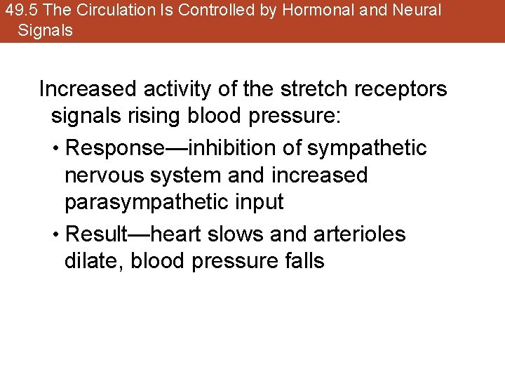 49. 5 The Circulation Is Controlled by Hormonal and Neural Signals Increased activity of