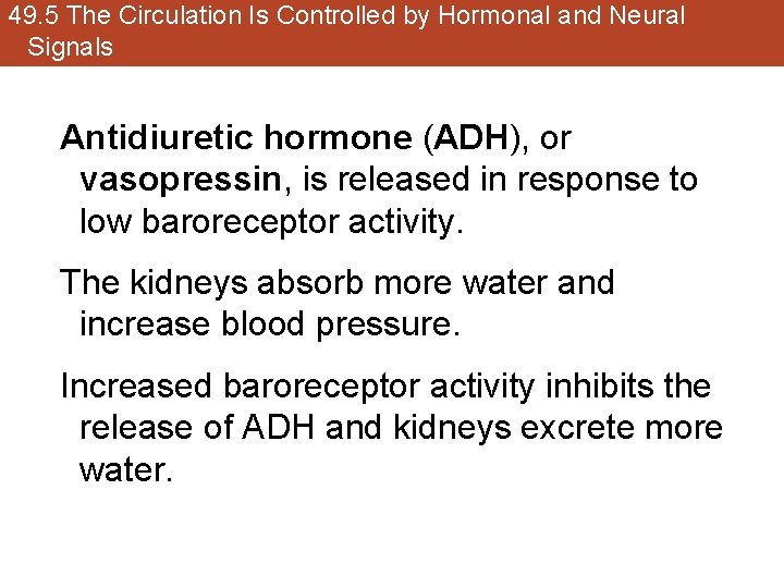 49. 5 The Circulation Is Controlled by Hormonal and Neural Signals Antidiuretic hormone (ADH),