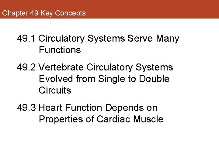 Chapter 49 Key Concepts 49. 1 Circulatory Systems Serve Many Functions 49. 2 Vertebrate