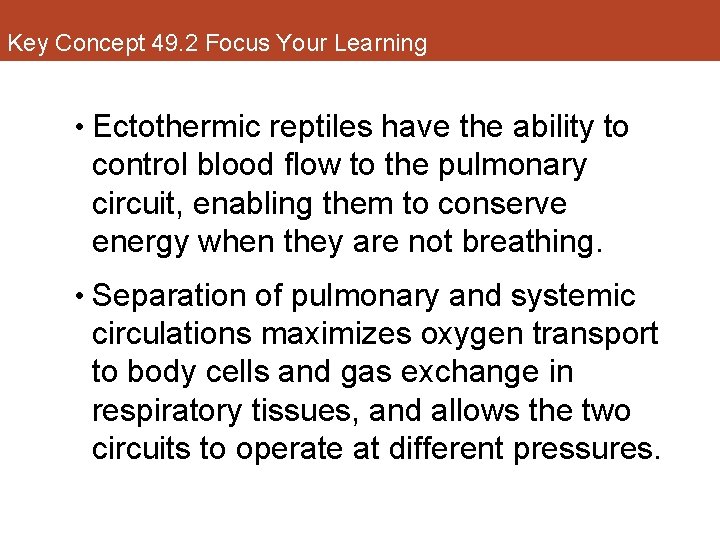 Key Concept 49. 2 Focus Your Learning • Ectothermic reptiles have the ability to