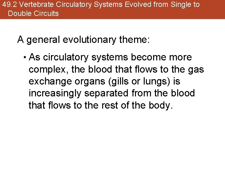 49. 2 Vertebrate Circulatory Systems Evolved from Single to Double Circuits A general evolutionary