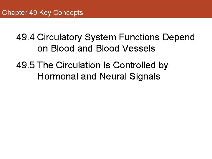 Chapter 49 Key Concepts 49. 4 Circulatory System Functions Depend on Blood and Blood