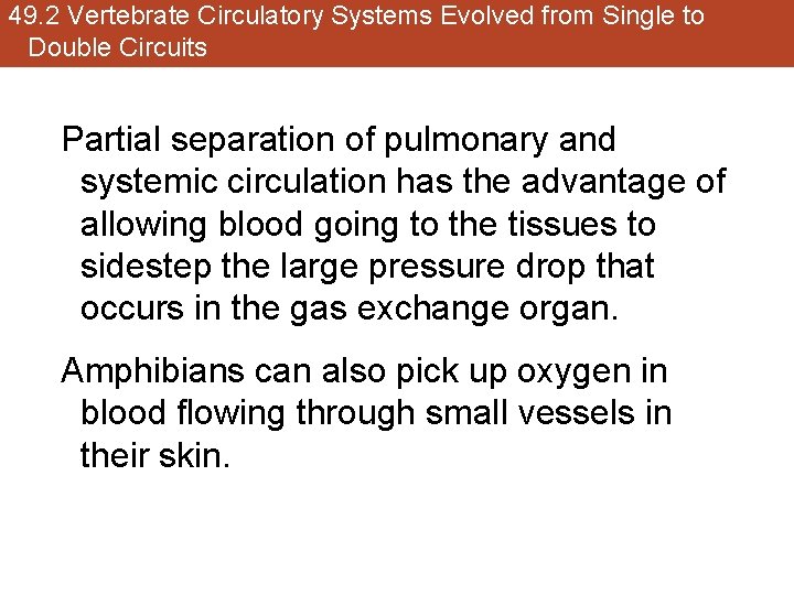 49. 2 Vertebrate Circulatory Systems Evolved from Single to Double Circuits Partial separation of