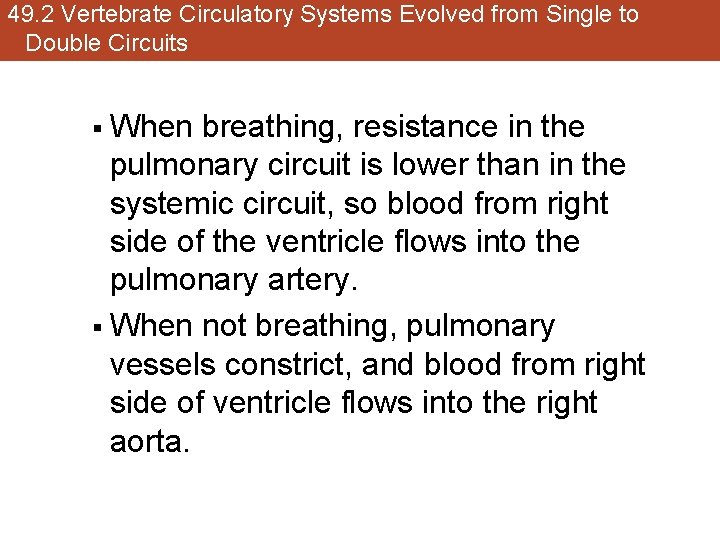 49. 2 Vertebrate Circulatory Systems Evolved from Single to Double Circuits When breathing, resistance