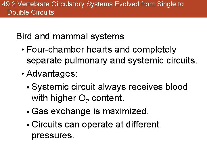 49. 2 Vertebrate Circulatory Systems Evolved from Single to Double Circuits Bird and mammal