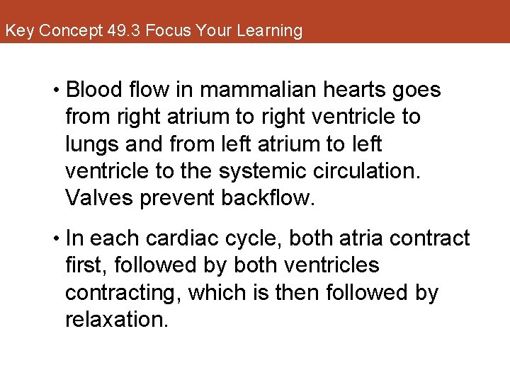 Key Concept 49. 3 Focus Your Learning • Blood flow in mammalian hearts goes