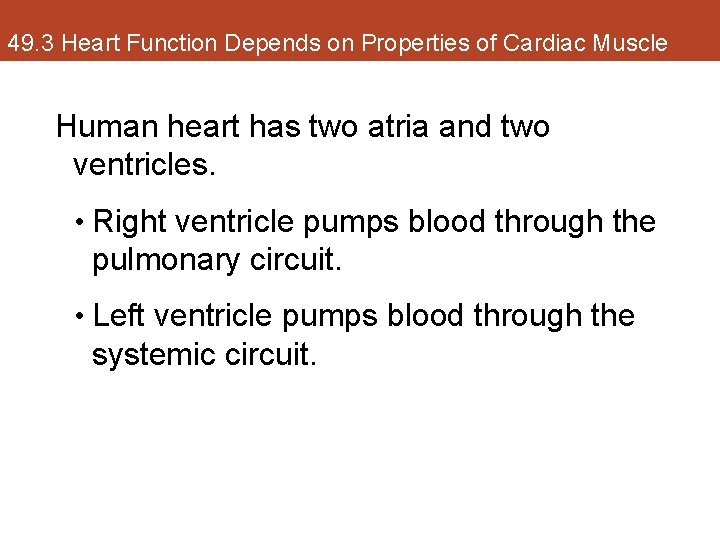49. 3 Heart Function Depends on Properties of Cardiac Muscle Human heart has two