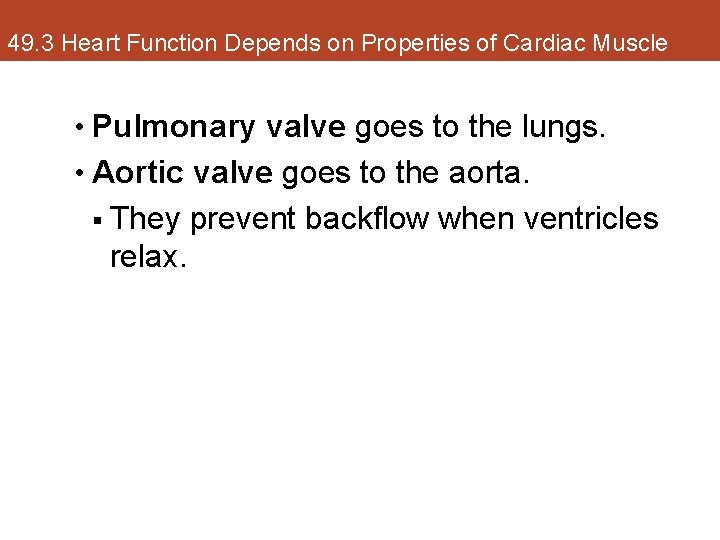 49. 3 Heart Function Depends on Properties of Cardiac Muscle • Pulmonary valve goes