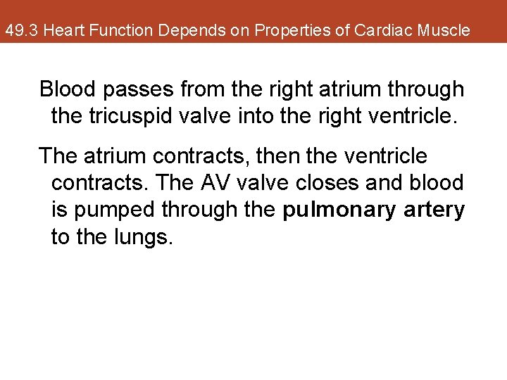 49. 3 Heart Function Depends on Properties of Cardiac Muscle Blood passes from the