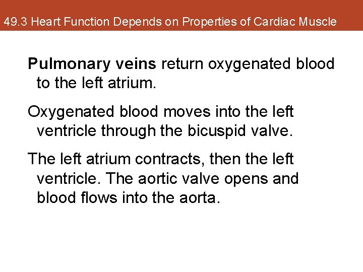 49. 3 Heart Function Depends on Properties of Cardiac Muscle Pulmonary veins return oxygenated