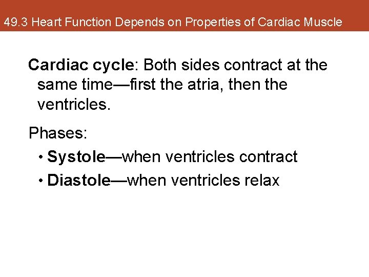 49. 3 Heart Function Depends on Properties of Cardiac Muscle Cardiac cycle: Both sides