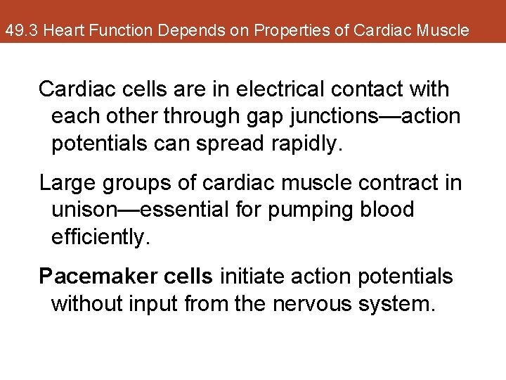 49. 3 Heart Function Depends on Properties of Cardiac Muscle Cardiac cells are in