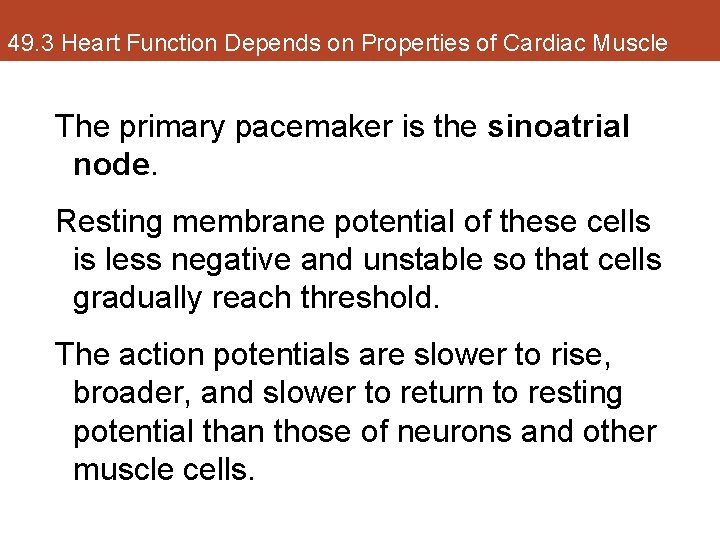 49. 3 Heart Function Depends on Properties of Cardiac Muscle The primary pacemaker is