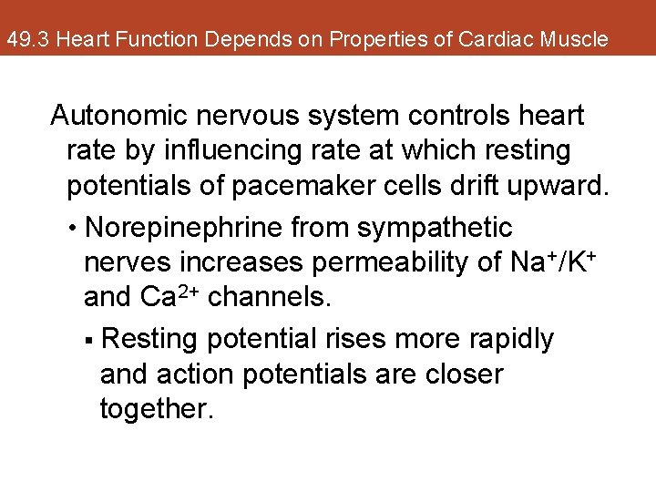 49. 3 Heart Function Depends on Properties of Cardiac Muscle Autonomic nervous system controls