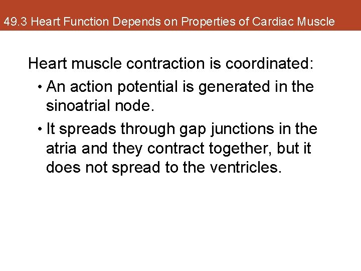 49. 3 Heart Function Depends on Properties of Cardiac Muscle Heart muscle contraction is