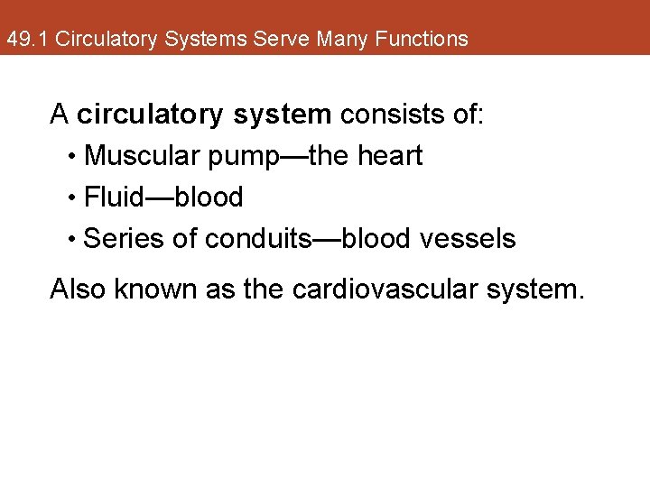 49. 1 Circulatory Systems Serve Many Functions A circulatory system consists of: • Muscular