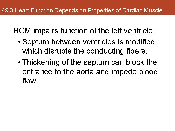 49. 3 Heart Function Depends on Properties of Cardiac Muscle HCM impairs function of
