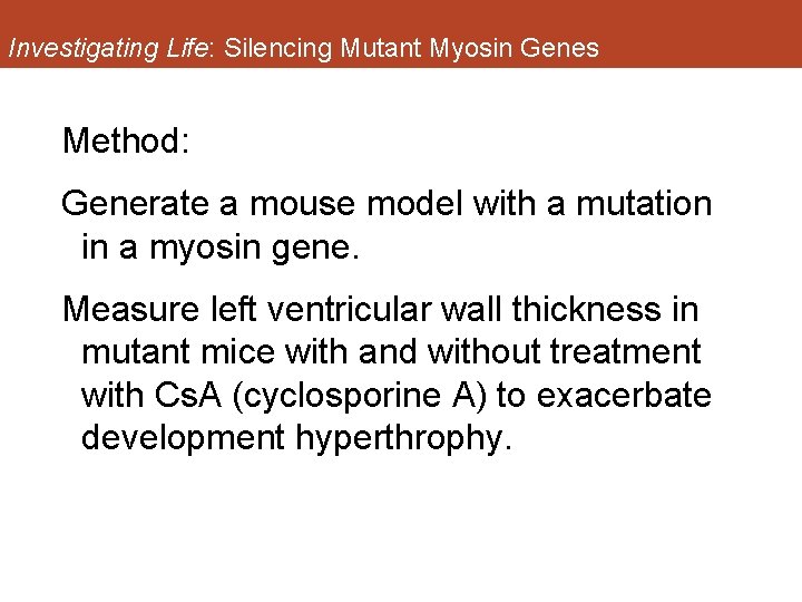 Investigating Life: Silencing Mutant Myosin Genes Method: Generate a mouse model with a mutation