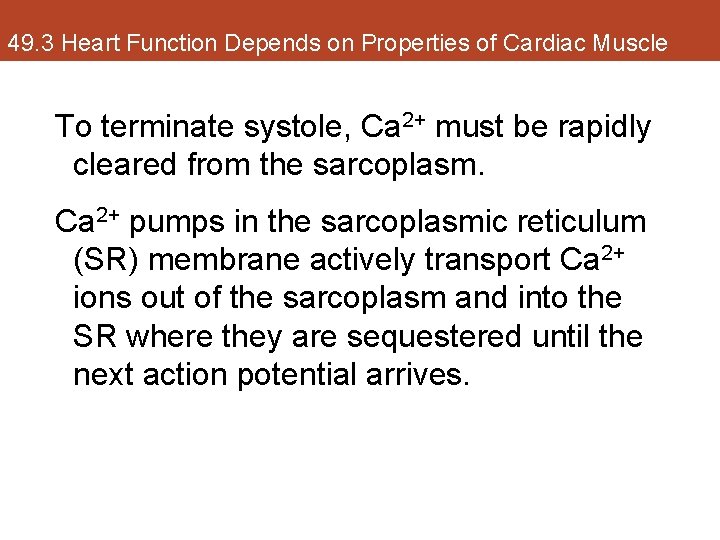 49. 3 Heart Function Depends on Properties of Cardiac Muscle To terminate systole, Ca