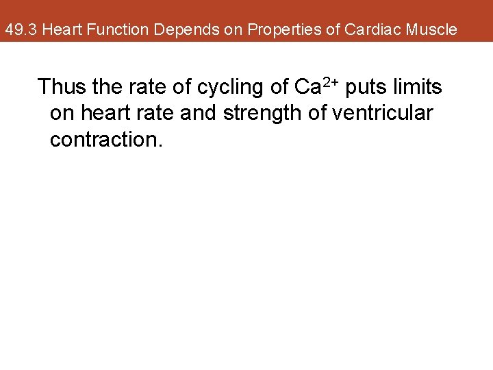 49. 3 Heart Function Depends on Properties of Cardiac Muscle Thus the rate of