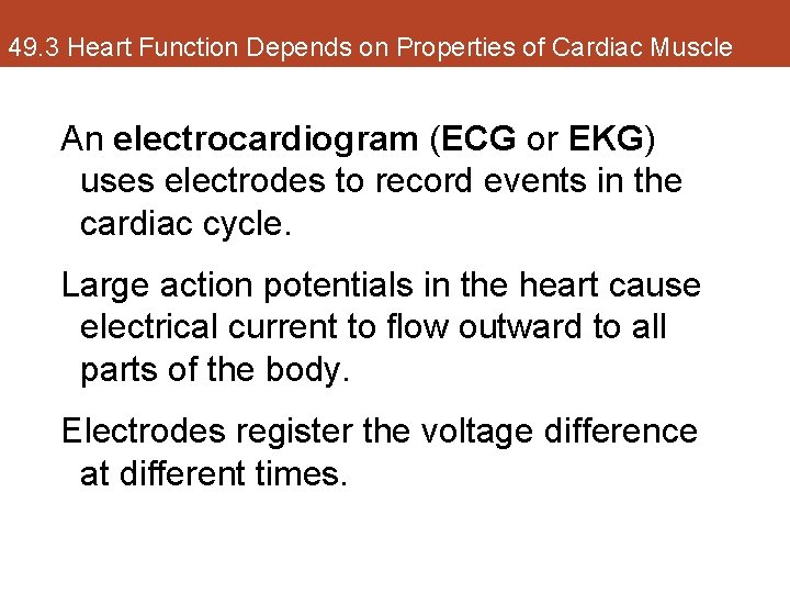 49. 3 Heart Function Depends on Properties of Cardiac Muscle An electrocardiogram (ECG or