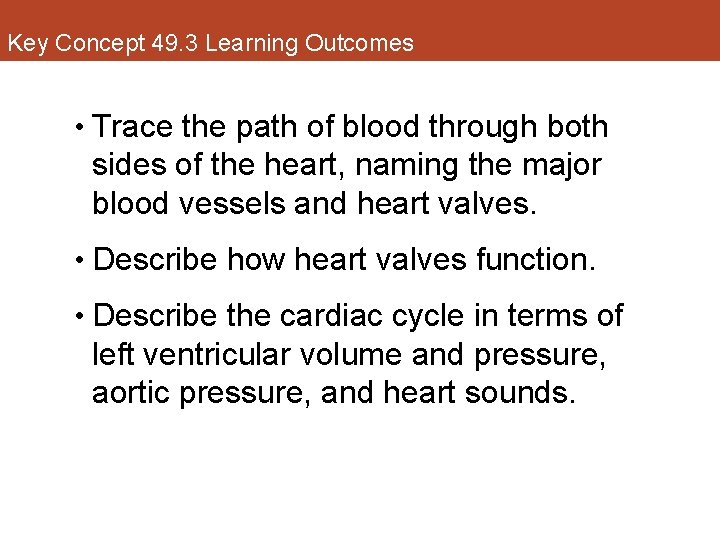 Key Concept 49. 3 Learning Outcomes • Trace the path of blood through both