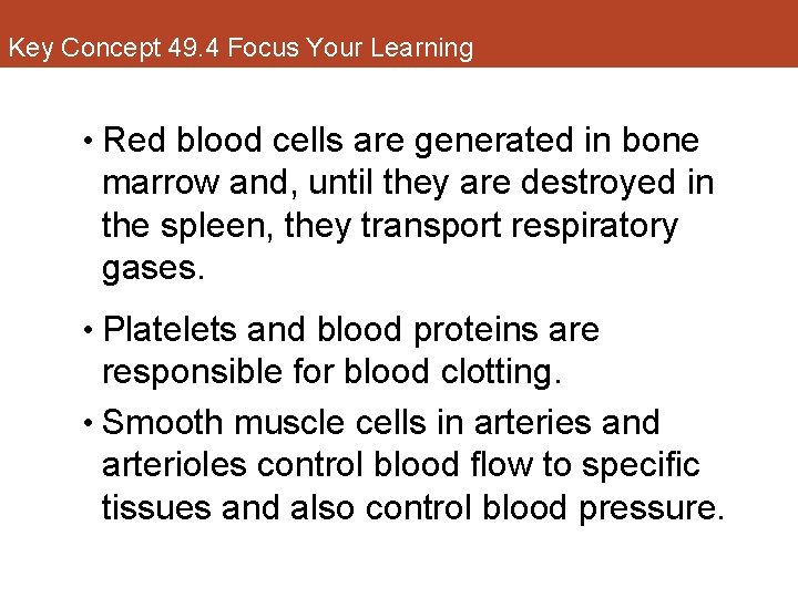 Key Concept 49. 4 Focus Your Learning • Red blood cells are generated in