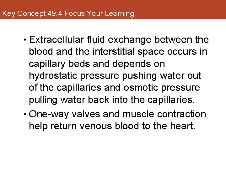 Key Concept 49. 4 Focus Your Learning • Extracellular fluid exchange between the blood